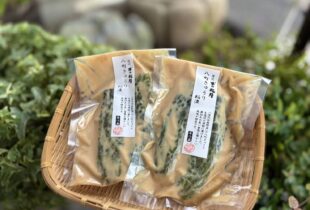 【季節限定】八町きゅうり粕漬販売中です！